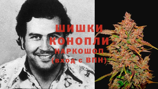 твердый Володарск