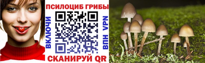 Псилоцибиновые грибы GOLDEN TEACHER Березники