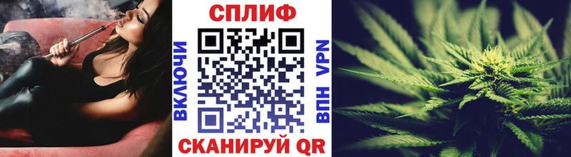 Конопля Amnesia Березники